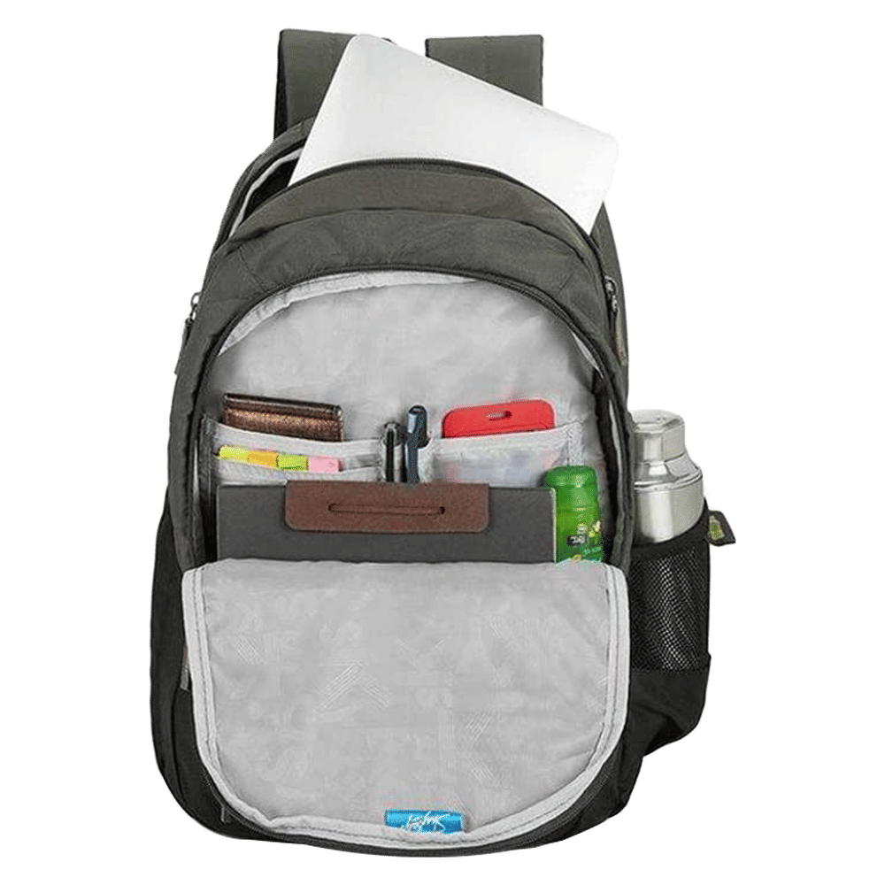 Buy Skybags Arthur Polyester Laptop Backpack for 15 Inch Laptop (30L